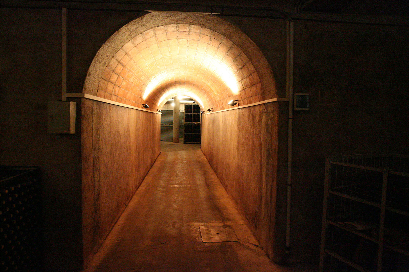 Dinar_Sant_Sadurní_D’Anoia_vinyes_enoturismo-canals-y-munne_Vins Dinar_Sant_Sadurní_D'Anoia_vinyes_enoturismo-canals-y-munne_Vins