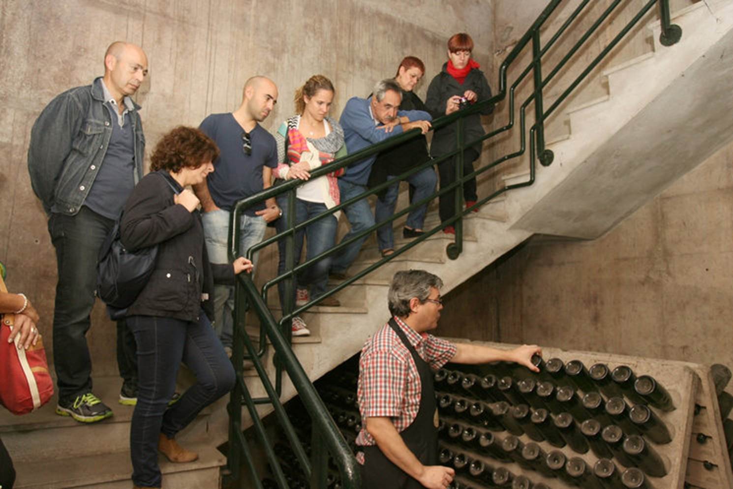 Las_mejores_brasas_Dinar_Sant_Sadurní_D’Anoia_vinyes_enoturismo-canals-y-munne Las_mejores_brasas_Dinar_Sant_Sadurní_D'Anoia_vinyes_enoturismo-canals-y-munne