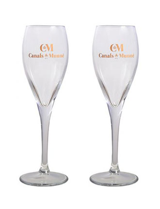 Visitar bodegas Sant Sadurní 2 Copa de cava