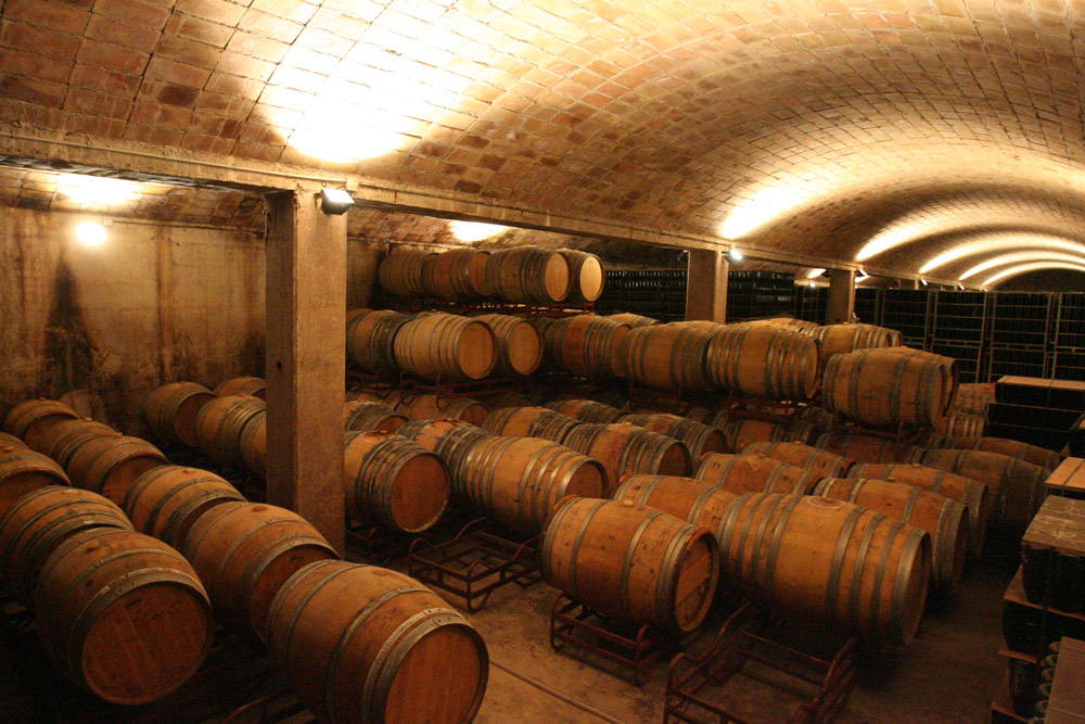 Visitar bodegas Sant Sadurni Canals Vi Blancs