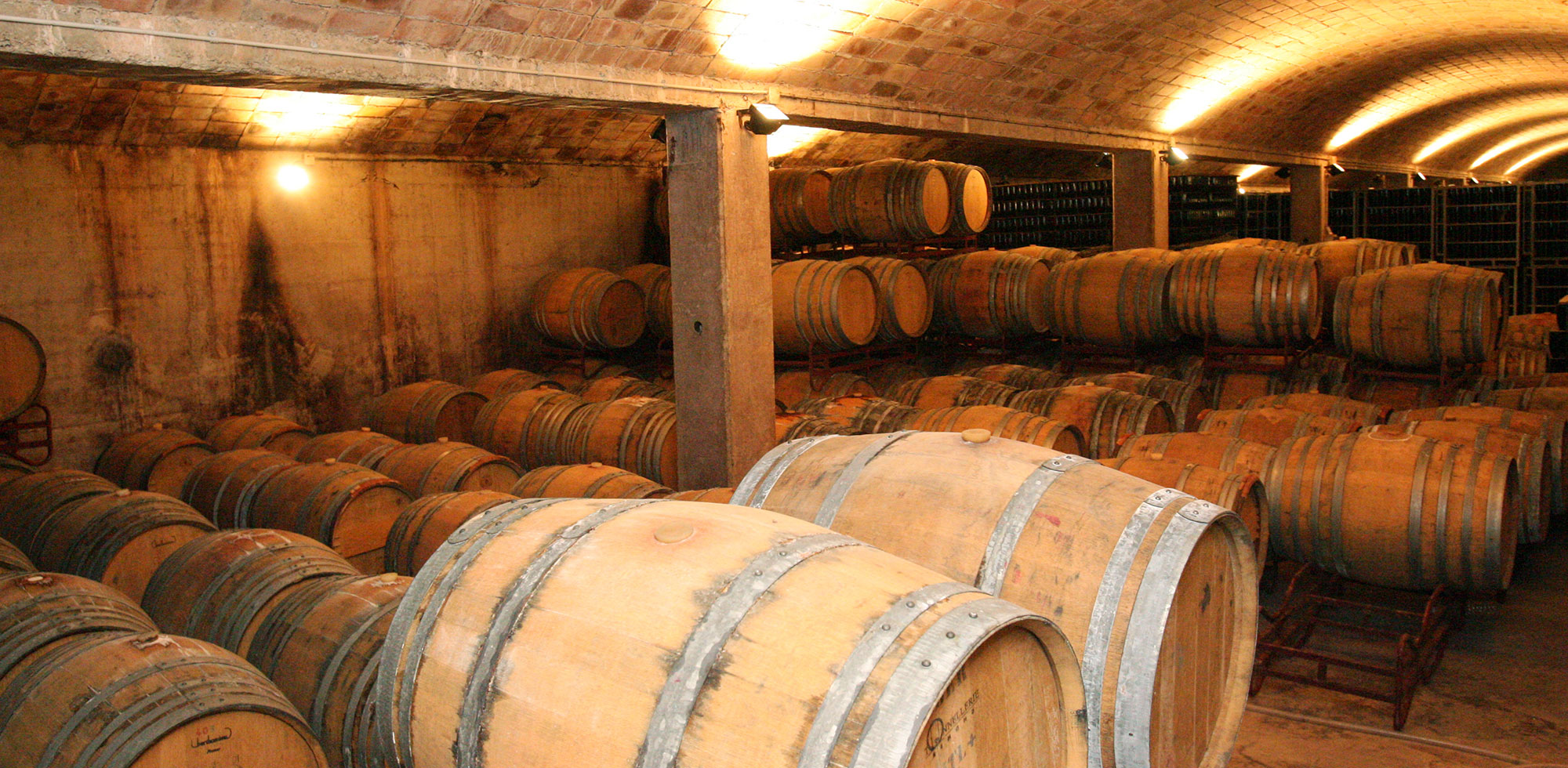 Visitar_bodegas_Sant_Sadurni_canals-i-munne-filosofia_cava