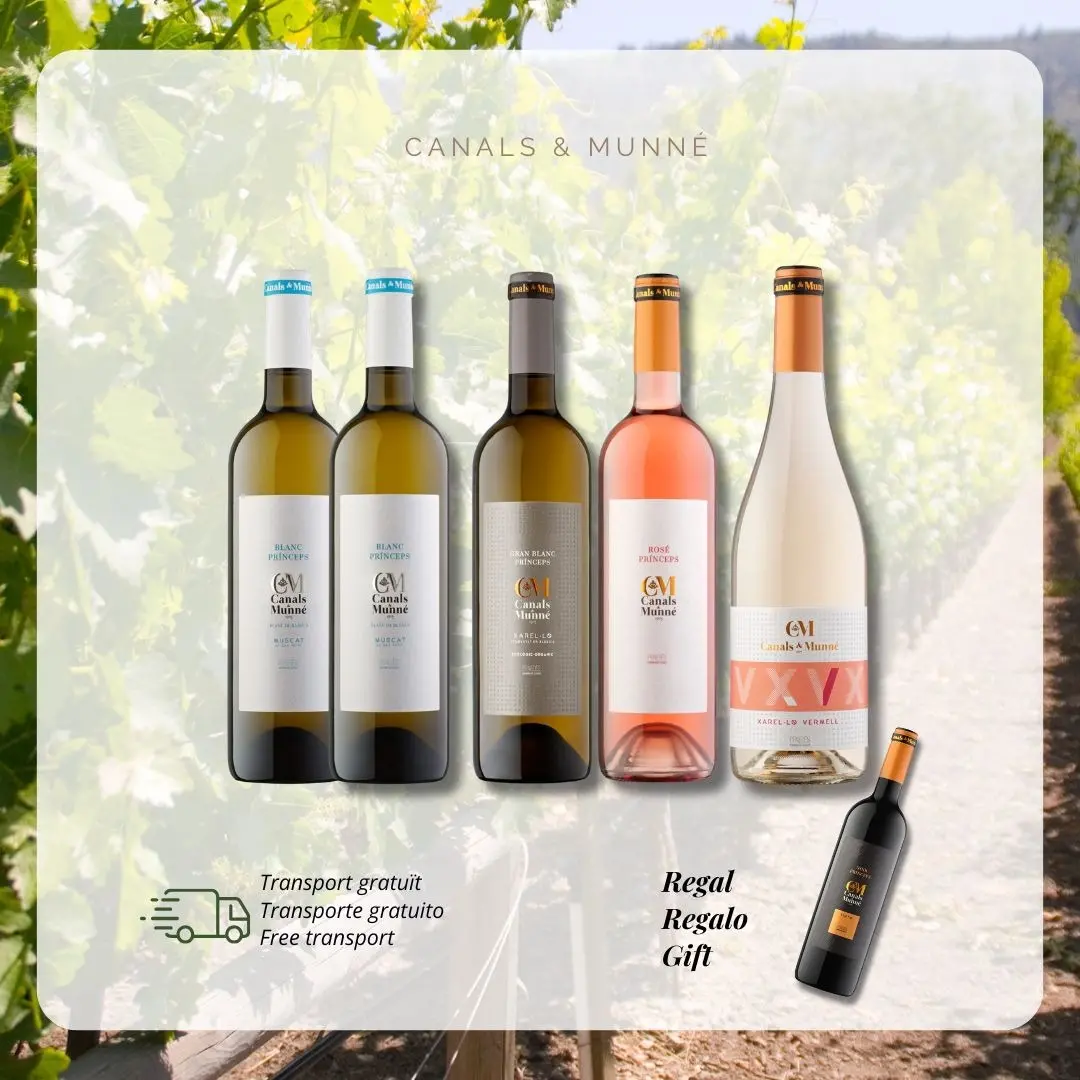 Lot Noves Collites 2025