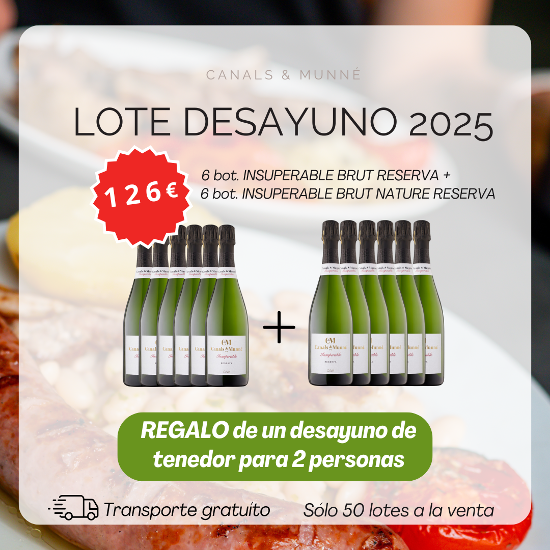 lote desayuno 2025