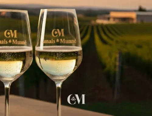 Experiències úniques de vi i gastronomia catalana al cor del Penedès