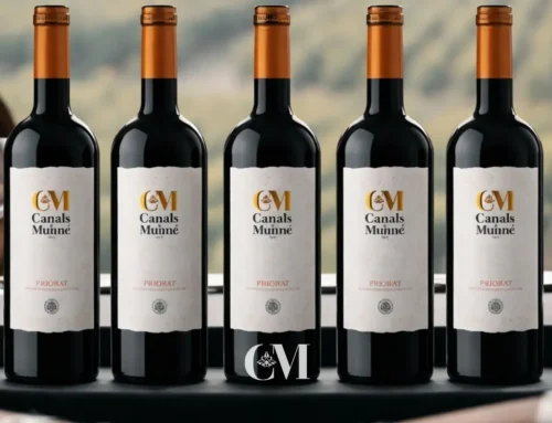 Tours a bodegas de Sant Sadurní: experiencias gastronómicas con vino