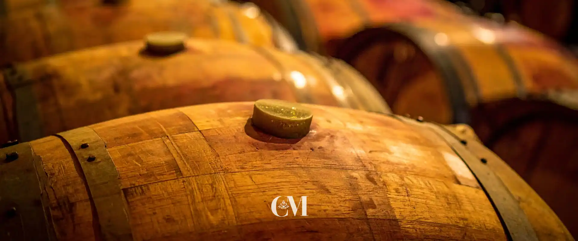 Activitats de cava i vi per grups a Sant Sadurní d’Anoia