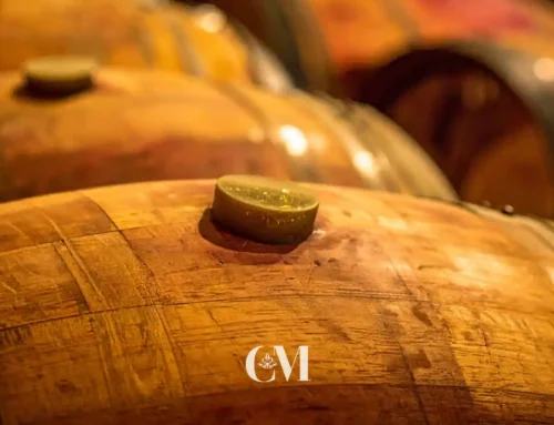 Actividades de cava y vino para grupos en Sant Sadurní d’Anoia
