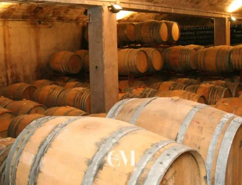 Bodegues amb visites, guia i degustació a cellers històrics de Sant Sadurní