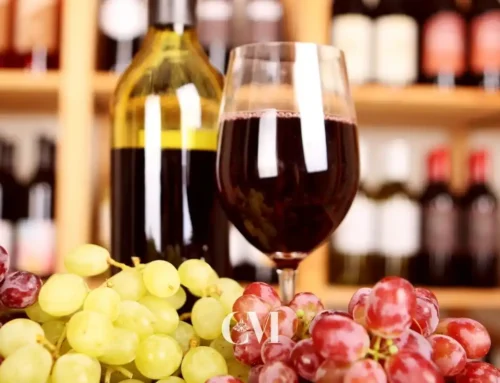 Enoturismo familiar en la capital del cava