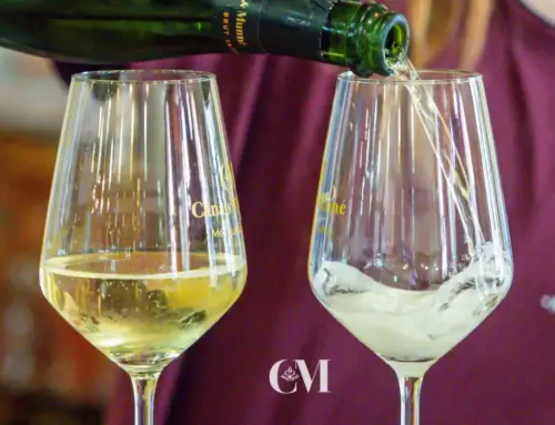 Tours de vins i caves al Penedès: Canals i Munné, un celler centenari