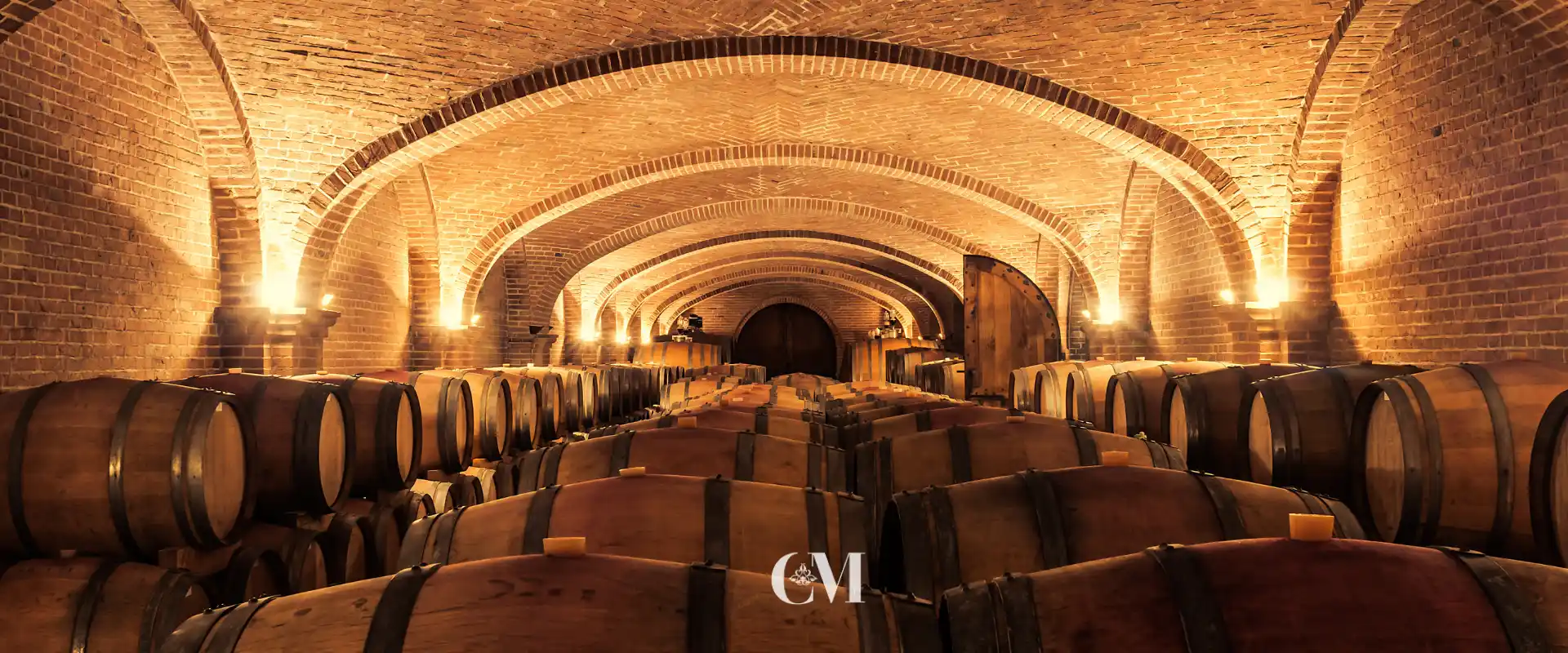 Qué esperar de una visita a una bodega de cava en el Penedès