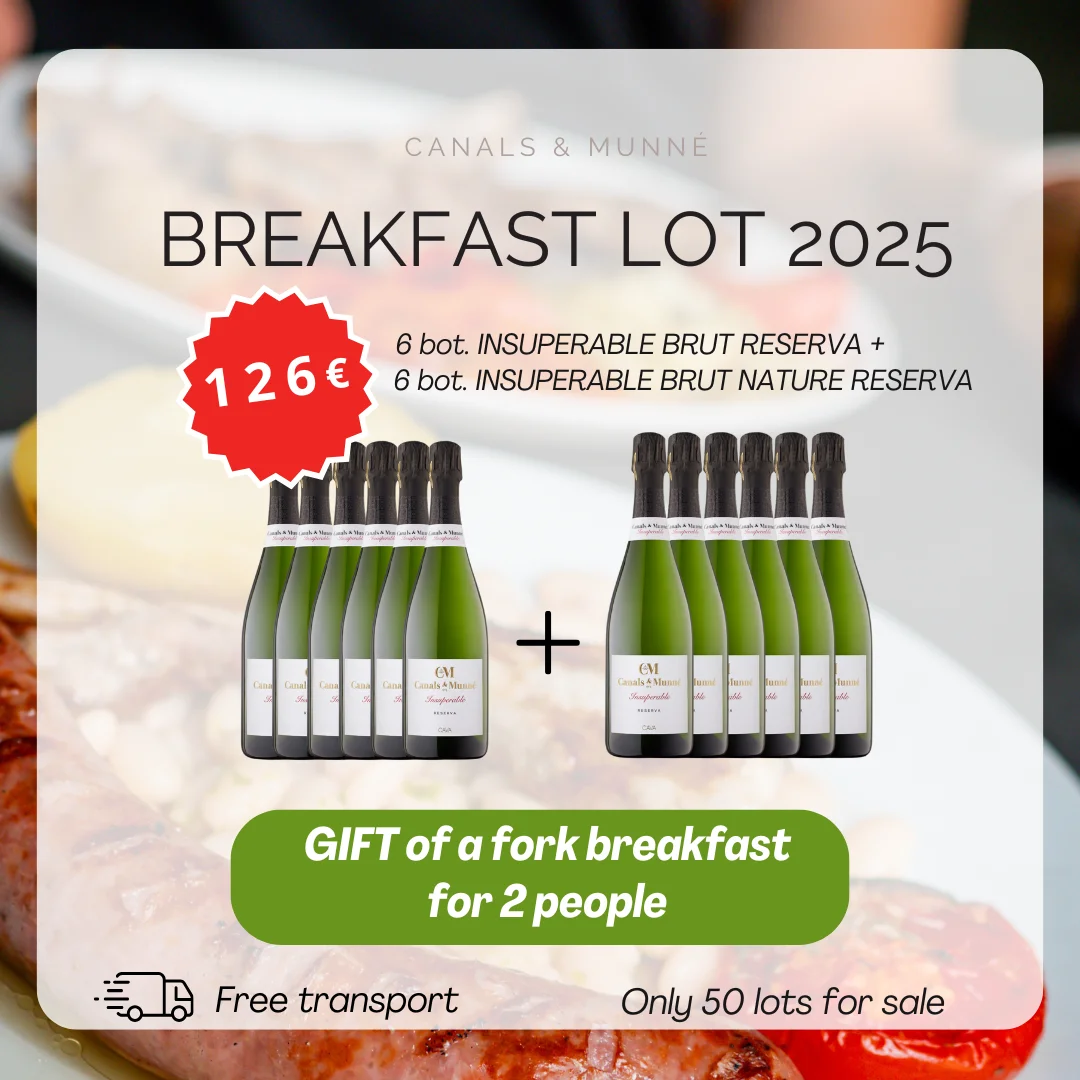 BREAKFAST lot 2025